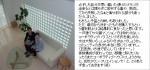 blog123-150×70